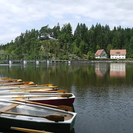 Дом отдыха Nr 7b2, Hagbuegerl, Bayr Wald *