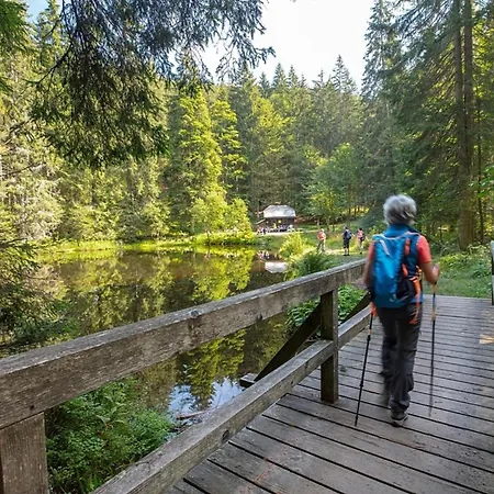 Nr 7b2, Hagbuegerl, Bayr Wald Waldmünchen
