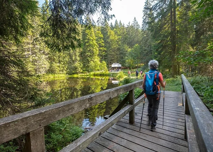 Nr 7b2, Hagbuegerl, Bayr Wald Waldmünchen