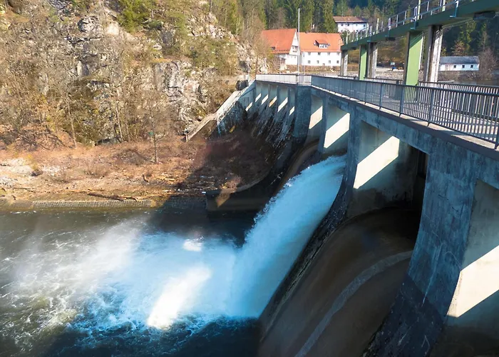 Nr 7b, Hagbügerl, Bayr Wald Waldmünchen